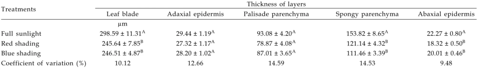 Table 3. Effects of different light regimes on the structure of Ocimum selloi leaves ( 1 )