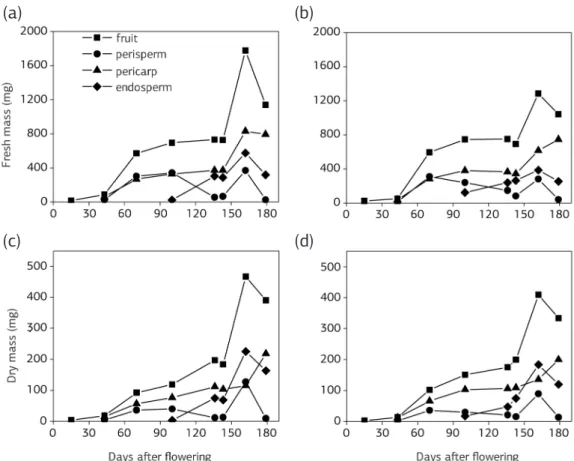 Figure 1. Fresh (a,b) and dry (c,d) mass of fruit and fruit tissues of MN (a,c) and AC1 (b,d) coffees