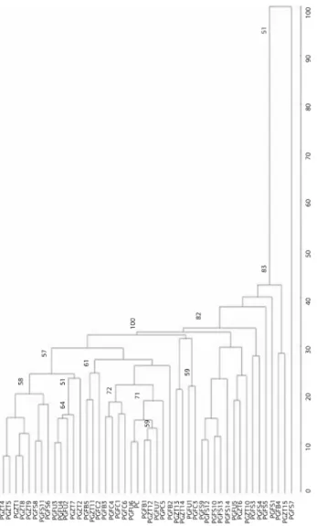 Figure 4. Dendrogram of similarity (%) among 45 Prata Anã  banana clones and the ‘Prata Anã’ cultivar derived from Jaccard’s  coefficient of similarity