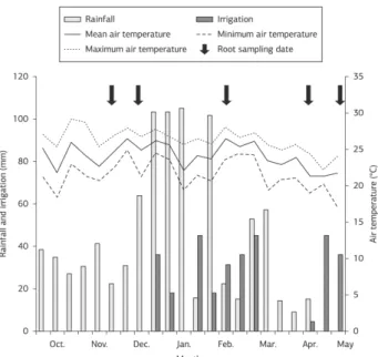 Figure 1. Rainfall, irrigation and average, maximum and minimum  air temperature during the experimental period