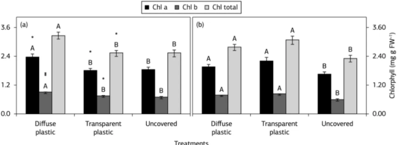 Figure 2. Leaf chlorophyll contents (a, b and total) of ‘Syrah’ grapevine growing under uncovered environment and covered with diffuse  and transparent plastic in 2012 (a) and 2013 (b) seasons