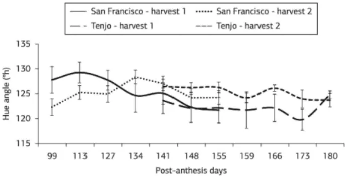 Figure 4. Pineapple guava fruit hue angle variation (ºh) in the towns  of Tenjo and San Francisco de Sales