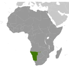 Figura 2 - Namíbia 