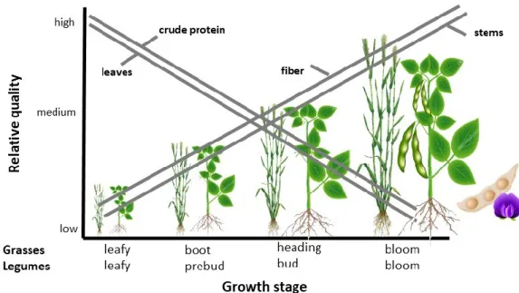 Figure 1. Effect of plant maturity on chemical composition and relative quality. 