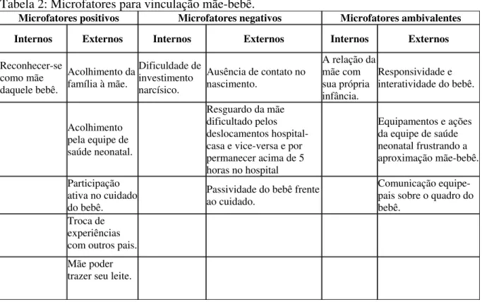 Tabela 2: Microfatores para vinculação mãe-bebê. 