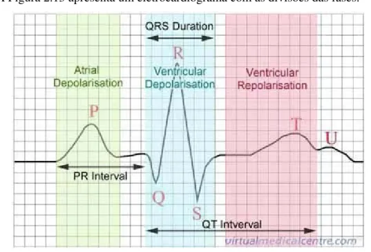 Figura 2.13 – ECG com as divisões das fases do ciclo cardíaco [50]. 