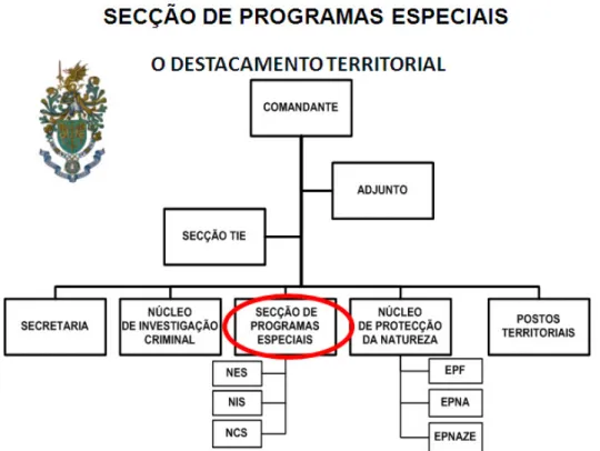 Figura nº 5: Organização do Destacamento Territorial de Ponte de Sor.