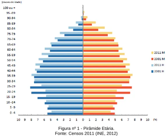 Figura nº 1 - Pirâmide Etária. 