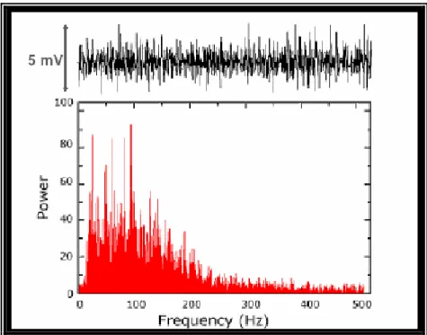 Figura 2.6 - O sinal EMG: amplitude 0 a 10 mV, freqüência 0 a 500 Hz, com dominância na faixa de 50 a  150 Hz [De Luca, 1979] 