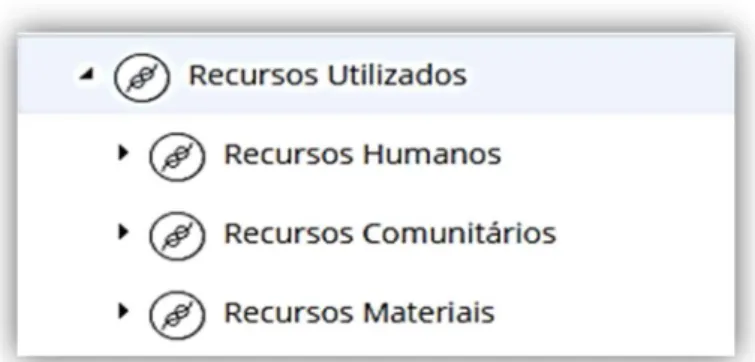 Figura 11 - Categoria Recursos Utilizados e Subcategorias 