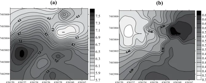 Figure 2. Spatial variability of C (g kg -1 ) (a) and respiration (mg C-CO 2  kg -1  soil h -1 ) (b) in the alley cropping system.
