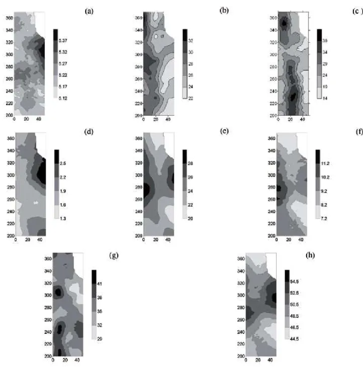 Figure  6  .  Maps  for  soil  chemical  attributes  0.0-0.20  m  of  the  depth:  (a)  pH;  (b)  M.O.;  (c)  P;  (d)  K + ;  (e)  Ca 2+   ;  (f)  Mg 2+   ;   (g) H+Al 3+  ; (h) V%.