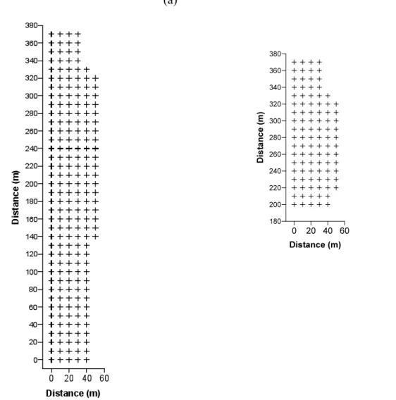 Figure  1.  Sampling  grids:  a)  205  points  for  resistance  of  soil  penetration;  b)  97  points  for  soil  density,  chemical  analysis  and  variable sugarcane plants.