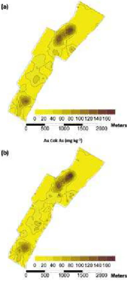Figure 7. Cokriging maps of Au vs. As (a) and Au vs. Sb (b). 