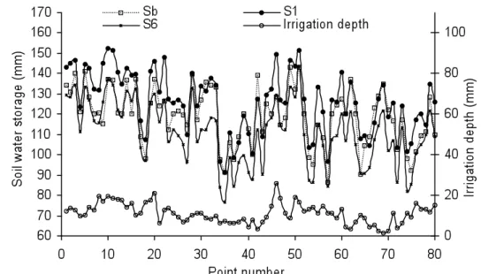 Figure 1.  Irrigation water depth (IWD) and soil water storage (SWS), before water application (Sb), in the first moment (S1) and  in the last moment of reading (S6).