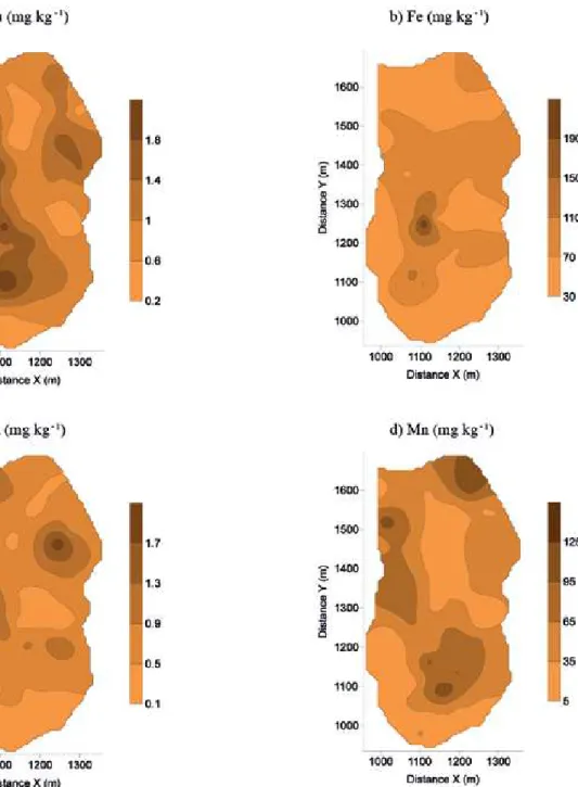 Figure 4. Map of the estimated values obtained by ordinary kriging.