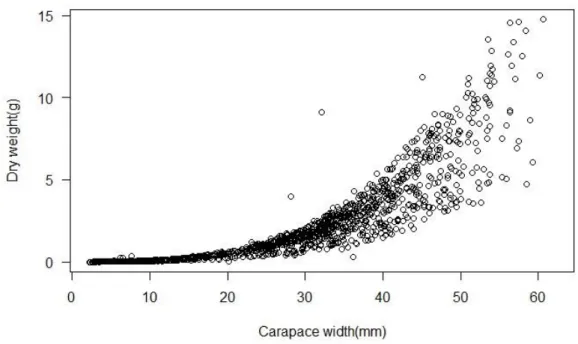 Figure 7.Relationship between carapace width and dry weight of C.maenas. 