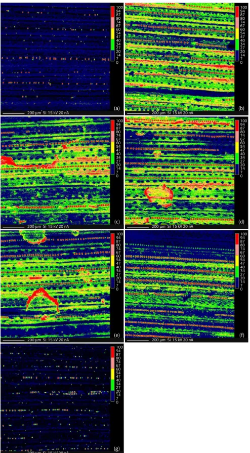 Figure 1. Silicon deposition, as determined by X-ray microanalysis, on leaves of rice plants growing in pots containing Si-deficient typical  Acrustox red yellow latosol and subjected to the following treatments: calcium carbonate (a); calcium silicate (b)