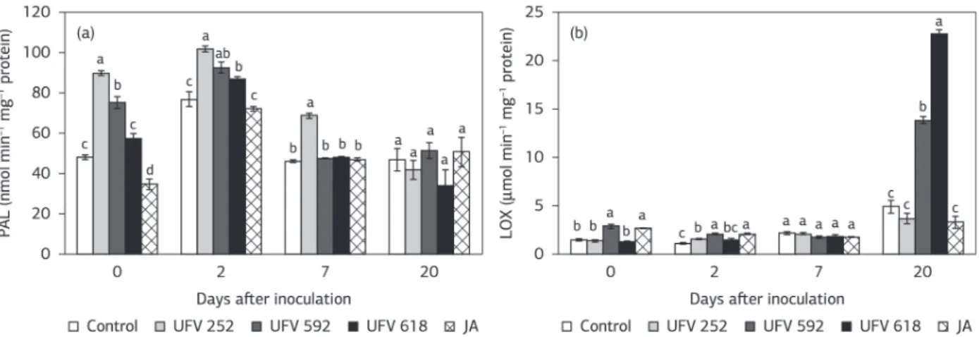 Figure 4. Activities of phenylalanine ammonia-lyases (PAL) (a) and lipoxygenases (LOX) (b) on the stem tissues of tomato plants inoculated  with Fusarium oxysporum f.sp
