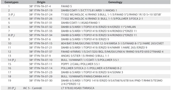 Table 1. Origin and Genealogy of the Genotypes evaluated in Field in Triticale Trial