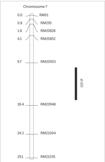 Figure 2. The location of sl-1(t) in the molecular linkage map on the  short arm of chromosome 7