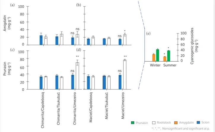 Figure 2. (a, b) Amygdalin, (c, d) prunasin concentration (mg·g- 1 ) in the scion and rootstock of the combinations and (e) Amygdalin and  prunasin concentration in the winter and summer.