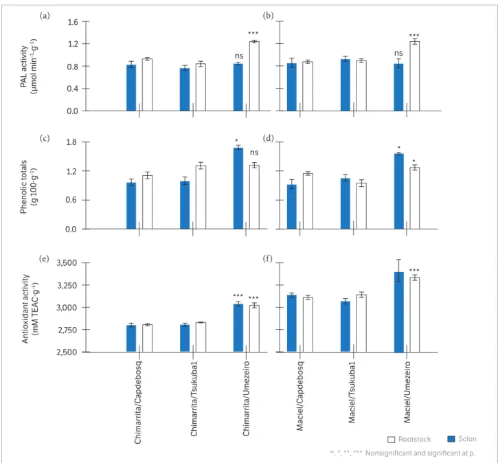 Figure 3. Phenylalanine ammonia-lyase (PAL) activity (µmol min- 1 ·g- 1 ), concentration of phenolic compounds (g 100·g- 1 ) and antioxidant  activity (mM TEAC·g- 1 ) in the scion and rootstock of the combinations.
