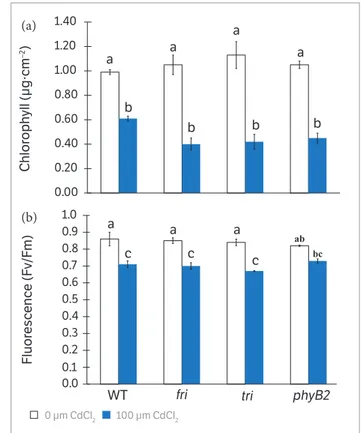 Figure 4. Chlorophyll and fluorescence measurements in 21 days- days-old tomato mutants and WT grown without or with 100 µM CdCl 2