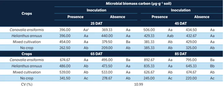 table 2. Microbial biomass carbon of soil with sulfentrazone cultivated with the phytoremediator species Canavalia ensiformis and Helianthus  annuus in monoculture or mixed cultivation, in the absence or presence of a bacterial consortium.