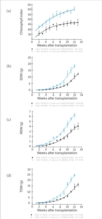 Figure 4. Development of plants biotypes of Conyza bonariensis,  susceptible (○) and resistant ( ) to glyphosate, weeks after  transplantation: (a) Chlorophyll index; (b) Shoot dry weight (SDW); 