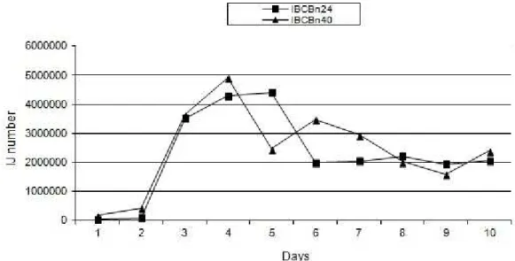 Fig. 1 - IJs daily emergency of Heterorhabditis sp. IBCBn24 and IBCBn40 isolates (10 days, 25 ± 1º C and 14h photophase).