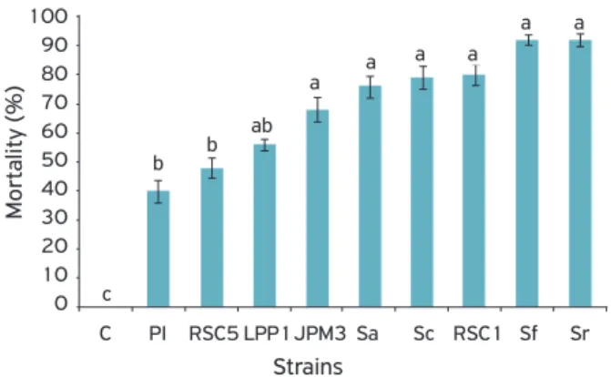 Figure 1. Mortality ± standard error caused by strains of  entomopathogenic nematodes to Mahanarva spectabilis nymphs  at a concentration of 2,000 IJs/mL under laboratory conditions.