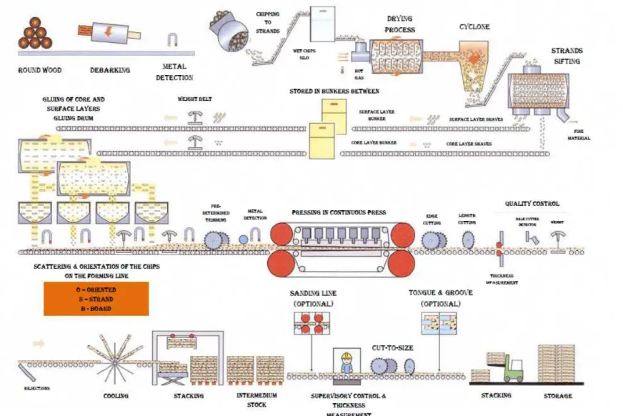 Figure 2.4 – OSB Productive Process