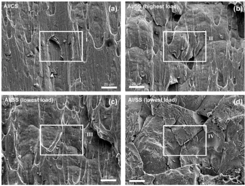 Figure 8. SEM micrographs of the fracture surface of the welds: (a) Al/CS welds; (b) Al/SS welds—