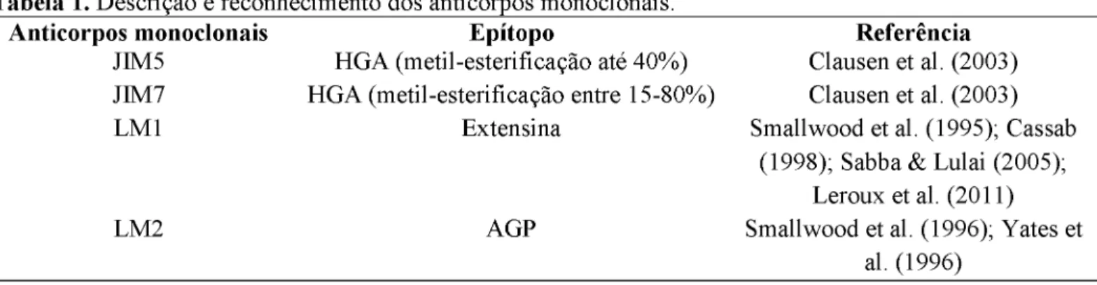 Tabela 1.  Descrição e reconhecimento dos anticorpos monoclonais.