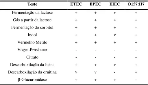Tabela 11 – Propriedades bioquímicas de ETEC, EPEC, EIEC e O157:H7  (Adaptado: Venkitanarayanan e Doyle, 2003) 