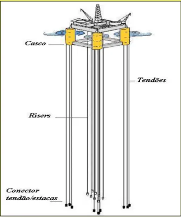 Figura 10 - Plataforma TLP. 