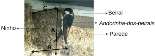 Fig. 2. Locais de recolha do material de referência e dos  ninhos [9] 