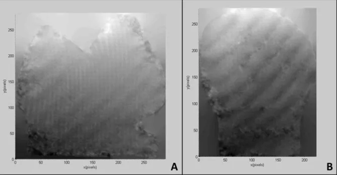 Figura 12. Topografia gerada no MATLAB para calcula da deformação. A) face  proximal; B) face vestibular