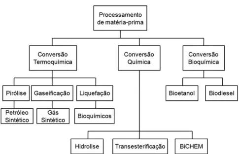 Figura 3. Principais processos de conversão de biomassa. Adaptado de Demirbas (2008). 