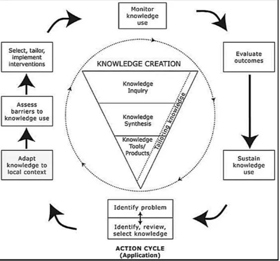Figura 6 – «Ciclo do conhecimento à prática» 