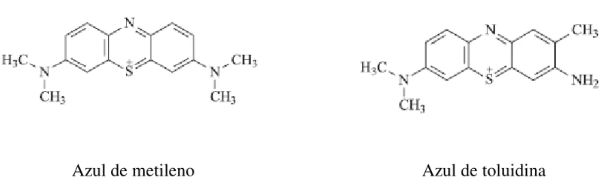 Figura 4: Estrutura química dos corantes azul de metileno e azul de toluidina (PERUSSI, 2007)
