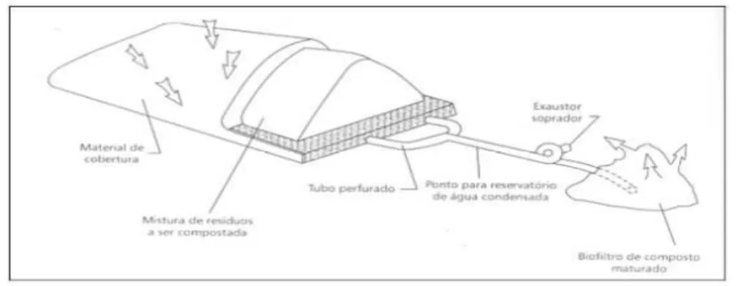 Figura 4.8- Leira estática aerada    (Fonte: ANDREOLI, 2001). 
