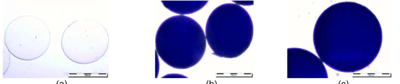 Figure 1. Photos of alginate microbeads encapsulating P. tridentatum extract: (a) alginate  microbeads; (b) alginate microbeads with 10 mass% of inulin; (c) alginate microbeads with 20 mass% 