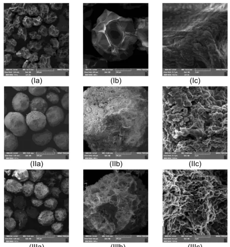 Figure 2. SEM micrographs of the freeze-dried microbeads: (I) alginate microbeads, (II) alginate  microbeads with 10 mass% of inulin, (III) alginate microbeads with 20 mass% of inulin, (a) low 