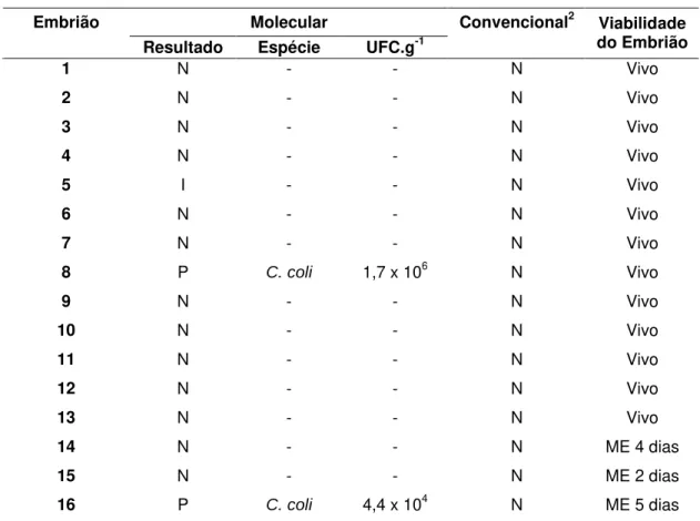 Tabela 5. Viabilidade e presença de Campylobacter em embriões de seis dias  de incubação,  provenientes de ovos de matrizes inoculadas via intraesofágica com Campylobacter  coli