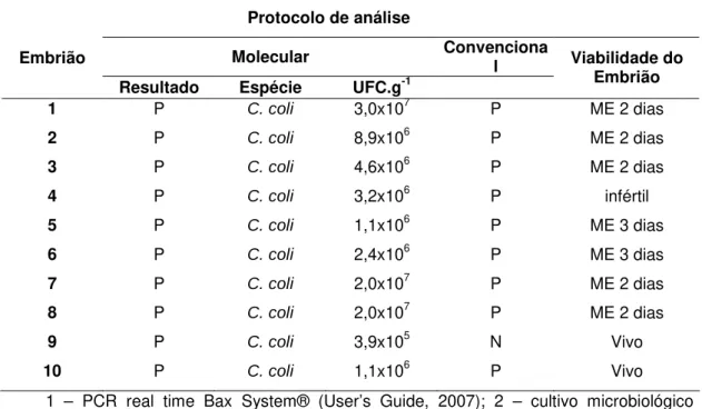 Tabela 10. Viabilidade e presença de Campylobacter em embriões provenientes de ovos SPF,  previamente inoculados via câmara de ar com 10 3   UFC.mL -1  de C