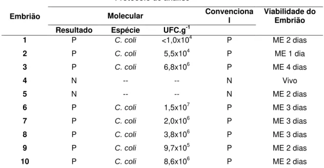 Tabela 11. Viabilidade e presença de Campylobacter em embriões provenientes de ovos SPF,  previamente inoculados via câmara de ar com 10 3  UFC.mL -1  de C