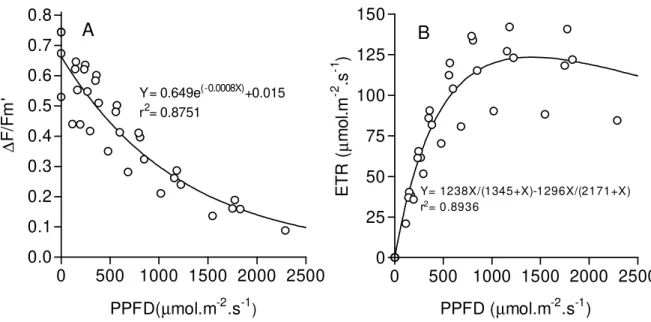 Figure 2. Light response curve of effective quantum yield (∆F/Fm’) (A) and apparent electron transport rate (ETR) (B) measured on sun-adapted S