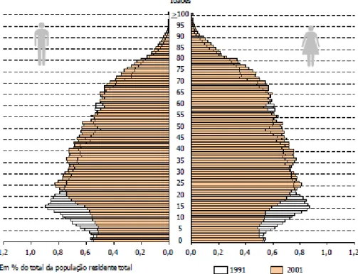 Figura nº 2 – Pirâmide etário 1991-2001 